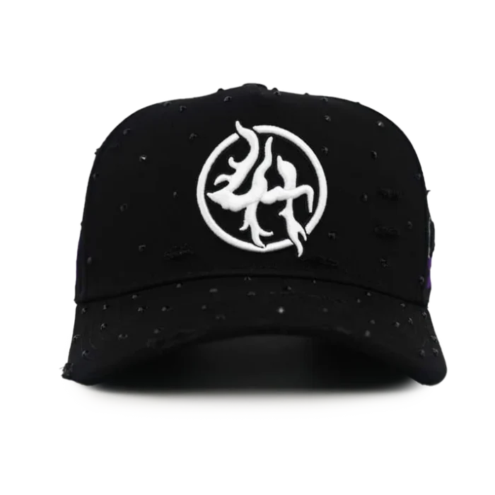LHCS001 SNAP BACK